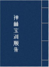 禅林宝训顺朱