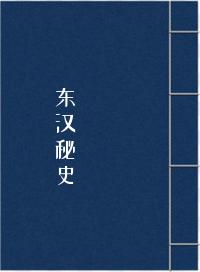 东汉秘史