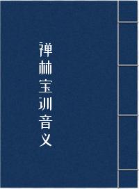 禅林宝训音义
