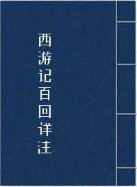西游记百回详注